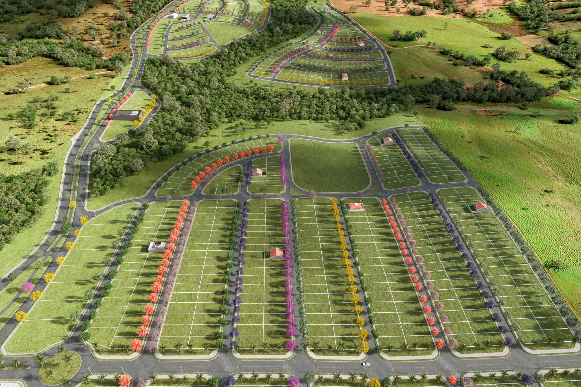 Aerea